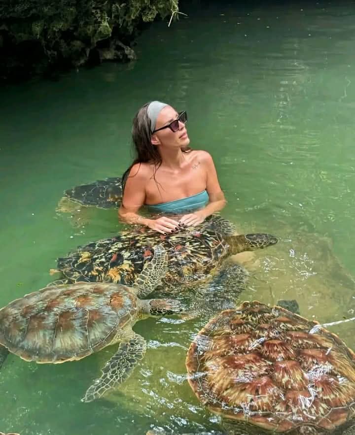 Nungwi Aquarium & Sunset