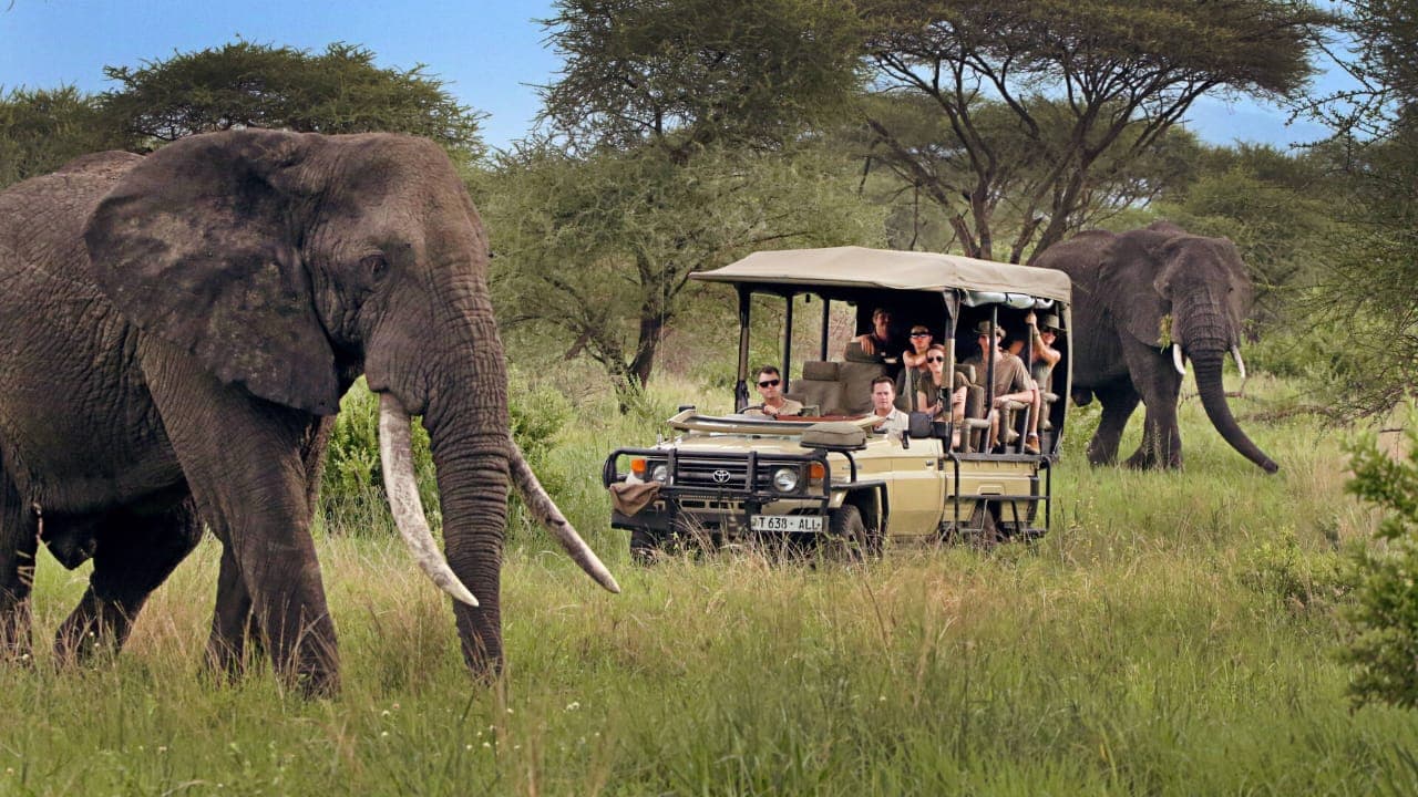 Tanzania adventure